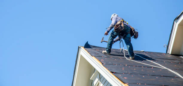 Best Storm Damage Roof Repair  in Prestonsburg, KY